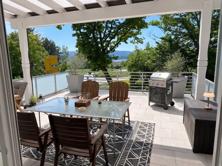 Terrasse mit Esstisch, Gasgrill und Blick durch die Bäume auf den Untersee